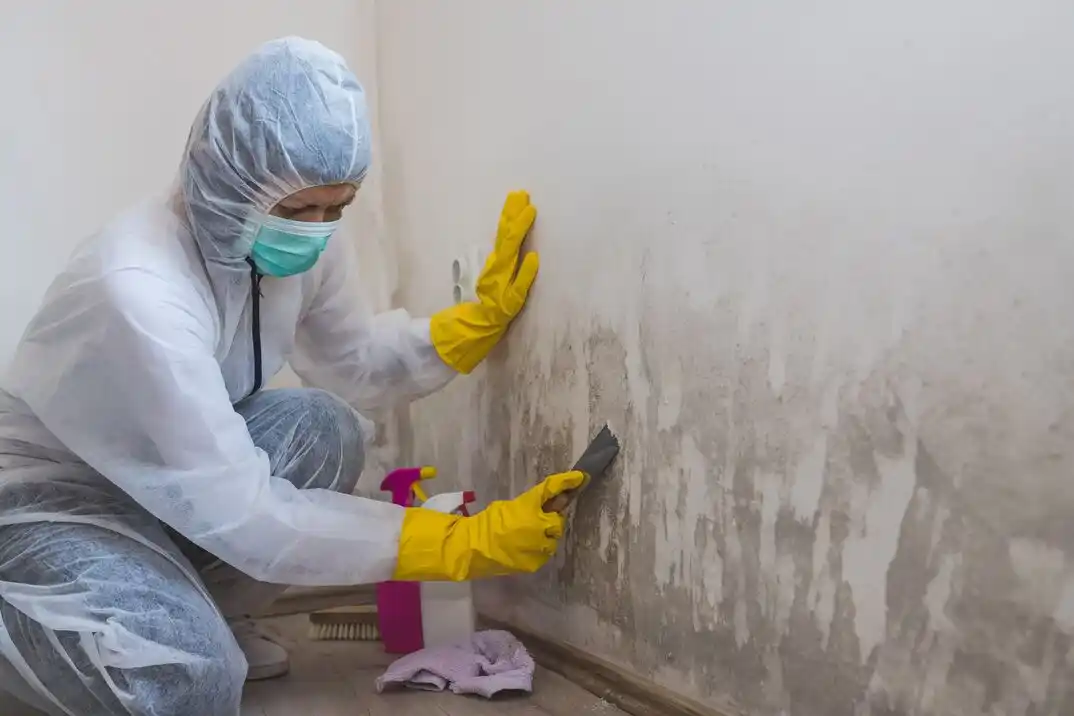 water damage restoration service J. J. Pearce